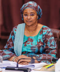 Santé Publique : Hausse des cas de Dengue au Mali, le Président Goïta appelle au respect des mesures de prévention